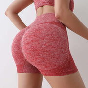 Yoga Shorts High Waist Stretch Anti-wardrobe Malfunction Fitness Pants