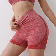 Yoga Shorts High Waist Stretch Anti-wardrobe Malfunction Fitness Pants